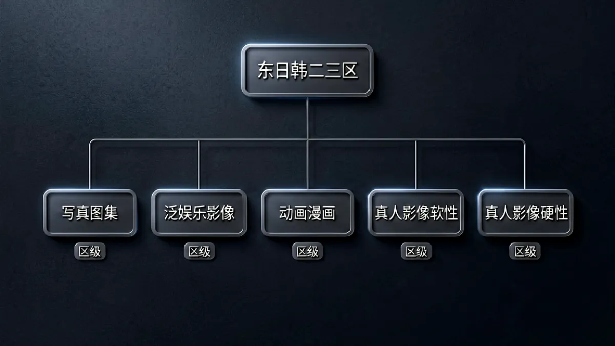 东日韩二三区内容子分类结构图，从写真图集到真人影像按区级分层排列展示